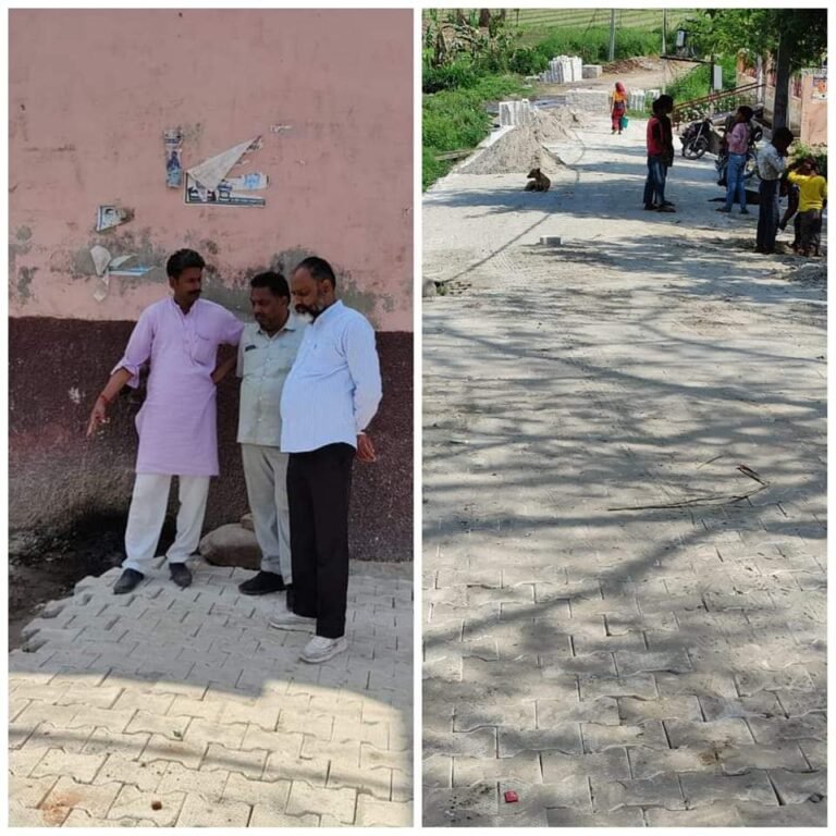 जिला पंचायत सदस्य प्रतिनिधि प्रदीप चौहान ने किया सड़क निर्माण कार्य का निरीक्षण, कहा – गुणवत्ता के साथ कोई समझौता नहीं