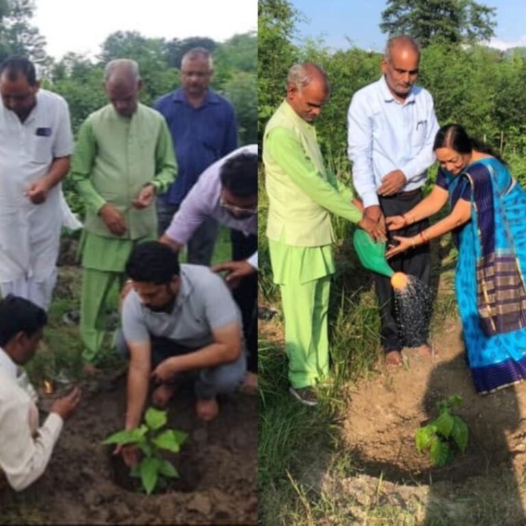 सोमवार को 10वें वन शहीदी दिवस के मौके पर ट्री ट्रस्ट आॅफ इंडिया ने वृक्ष बलिदानों की स्मृति में किया पौधारोपण